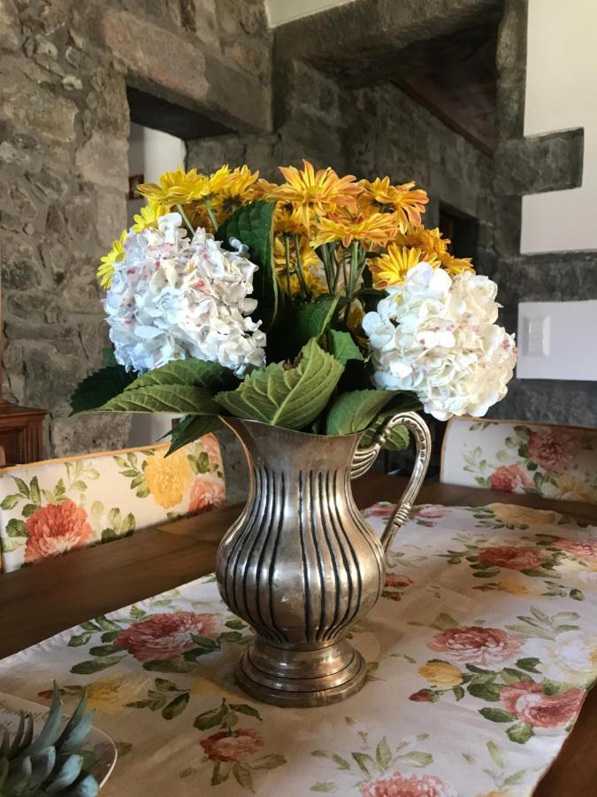 Charming Green Country House Nordestinho Extérieur photo