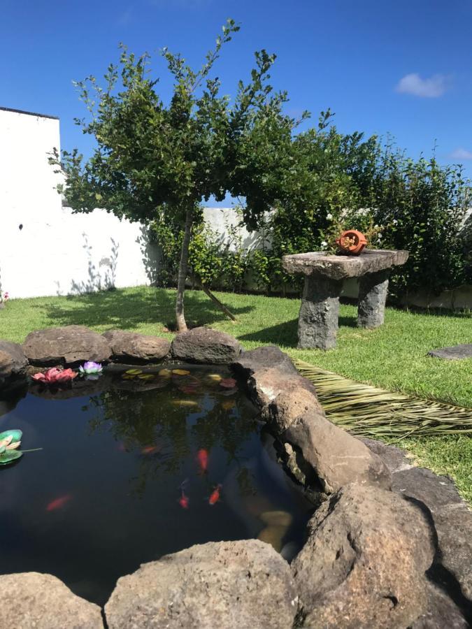 Charming Green Country House Nordestinho Extérieur photo
